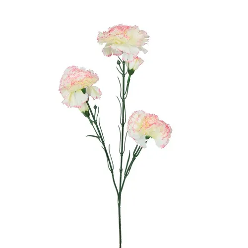 Karafiát – konár x5 65 cm cream K193